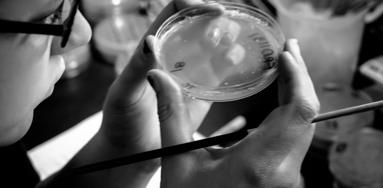 Person with petri dish