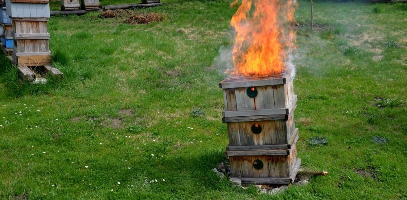 The burning of diseased beekeeping equipment