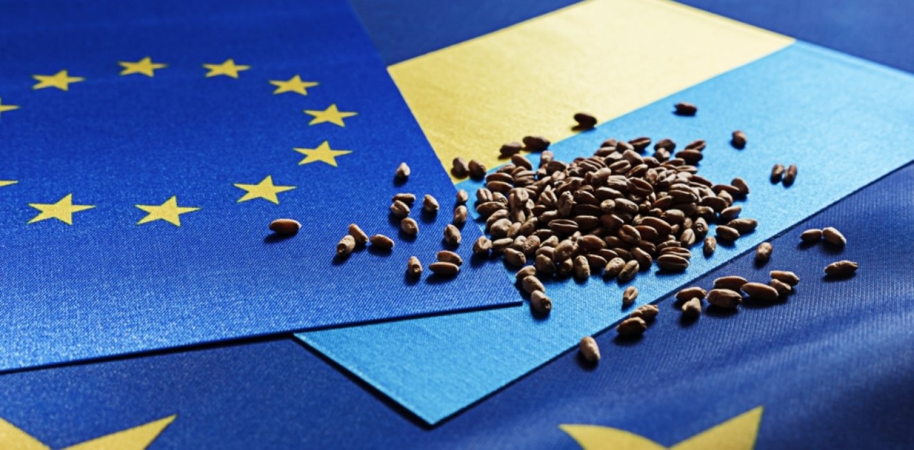 Grain deal between Ukraine and the EU