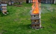 The burning of diseased beekeeping equipment