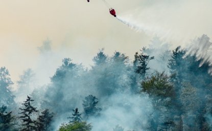 Wildfires in the Arctic