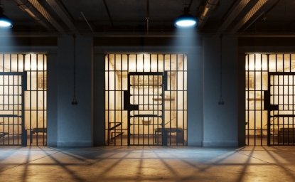 Prison Bars