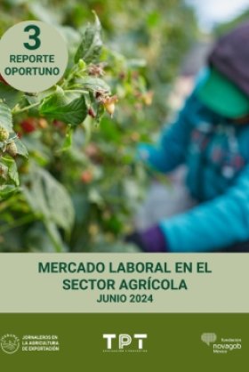 Report 3 Agriculture