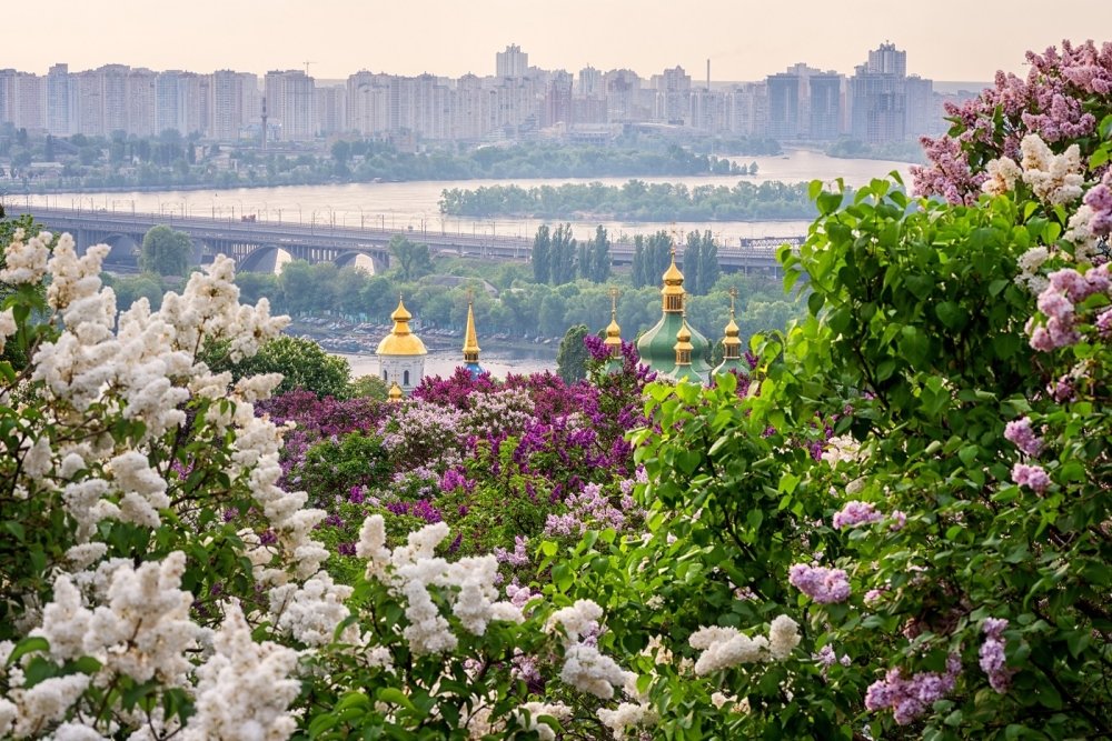 view of Kyiv from city's botanical gardens